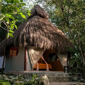 akumal-natura.allrivieramayahotels.com/